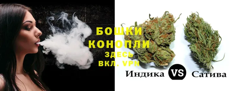 Бошки марихуана Ganja  Каневская 